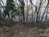 NA PREDAJ LUKRATÍVNY STAVEBNÝ POZEMOK S VÝHĽADOM NA RIEKU DUNAJ NA VÝSTAVBU RODINNÉHO DOMU ALEBO REKREAČNEJ CHATY